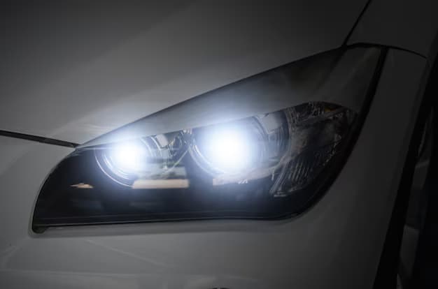 Head Lamps